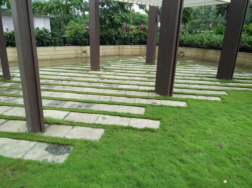 Greenscape Creation